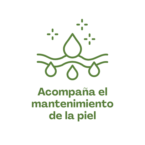 Describes the appearance of the image