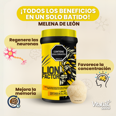 LION FACTOR - MELENA DE LEÓN 500g