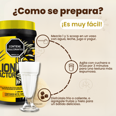 LION FACTOR - MELENA DE LEÓN 500g