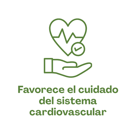 Favorece el cuidado del sistema cardiovascular