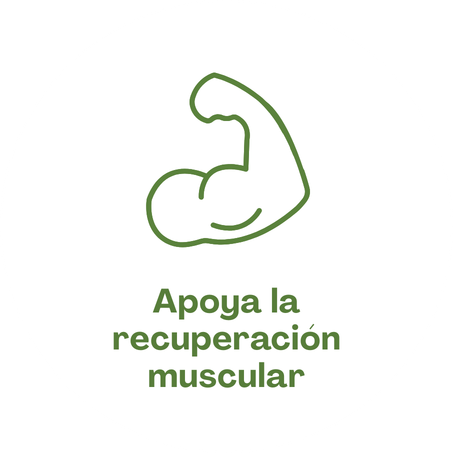 creatina para apoyo en la recuperacion muscular