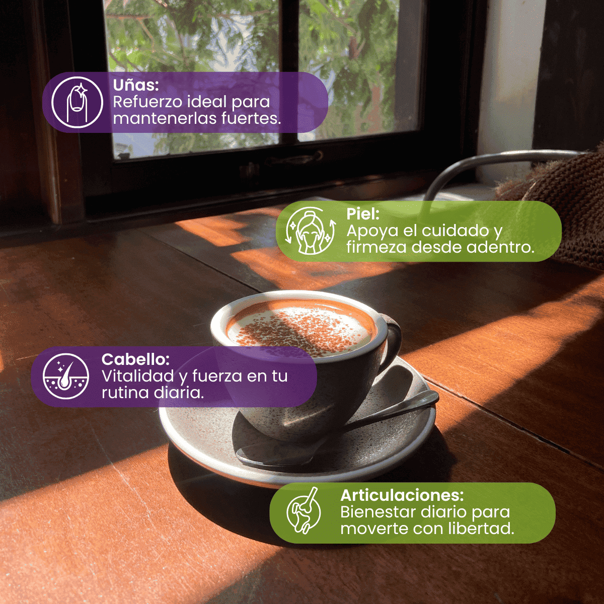 Batido Colágeno Hidrolizado con Café | Coffee+ - 700 g - Vitaliah Stevia -Alimentos saludables