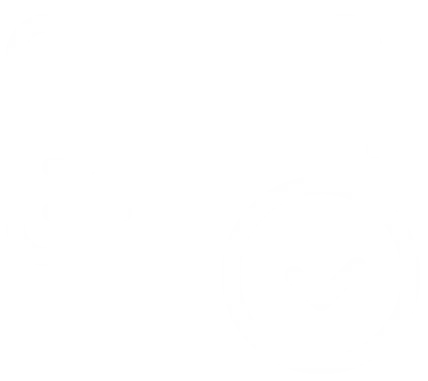 Alt Image