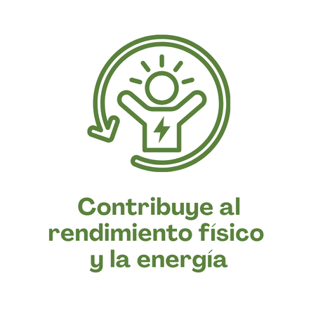 Apoya el rendimiento fisico