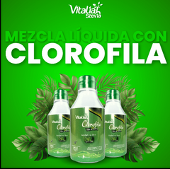 SALUD Y DEPORTES Clorofila 240 mL vitaliah colombia