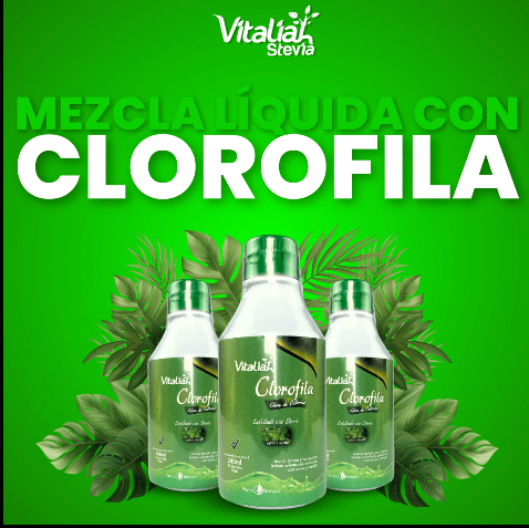 SALUD Y DEPORTES Clorofila 240 mL vitaliah colombia